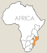 Mozambique beach vacation