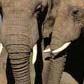South African Travel