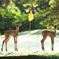 Golf Safaris Africa