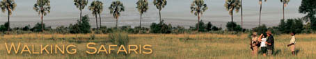 Walking Safaris in Africa | Active Vacations