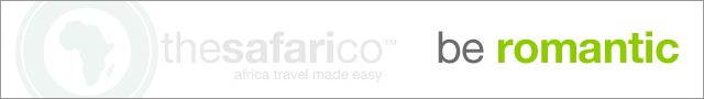 africa wedding guide