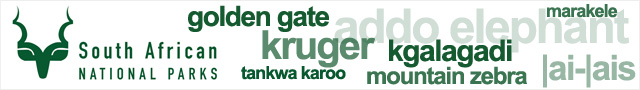 explore kruger
