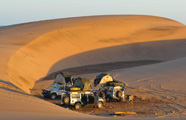 Bushlore Self Drive Safaris