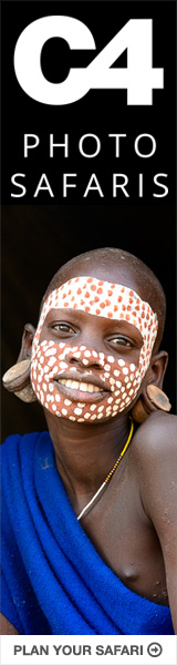 C4 Photo Safaris