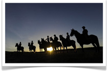 Cape Winelands Horse Riding