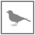 bird watching holidays africa