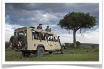 Porini Lion Camp