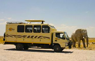 Karibu Safaris