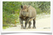 Karibu Safari - Damaraland