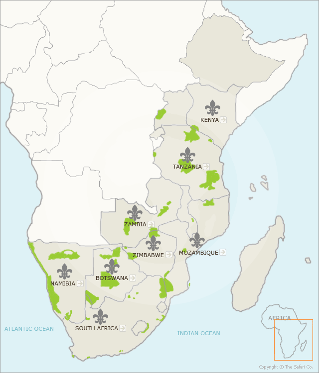 Luxury Safari Holidays in Africa