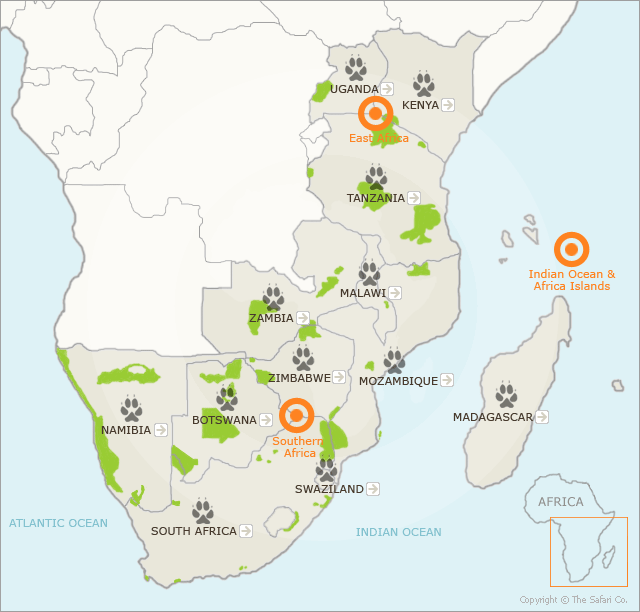 African Wildlife Safaris 