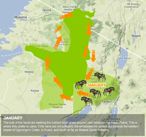 The Great Wildebeest Migration Map