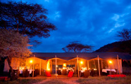 Nasikia Tanzania