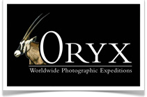 Photographic Safaris in Africa by Oryx Expeditions