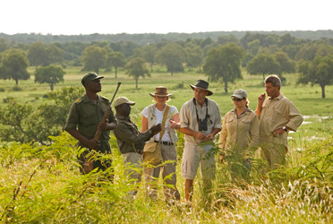 Safari Royale