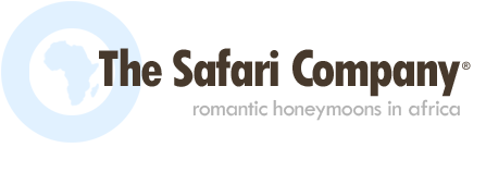 romantic honeymoon packages