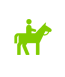 horseback specialists africa